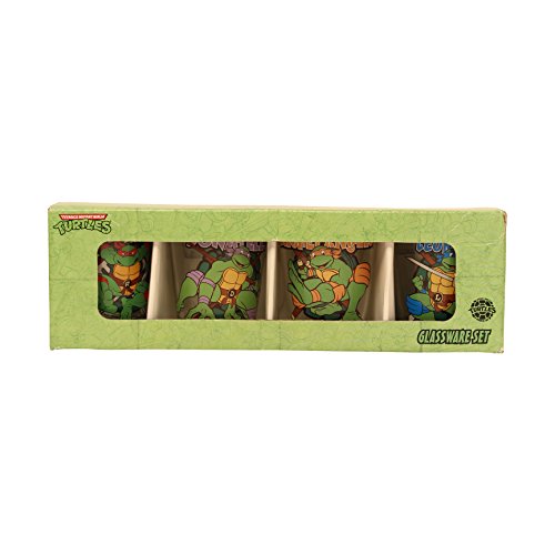 Silver Buffalo NT031SG8 Nickelodeon Teenage Mutant Ninja Turtles Character and Names Mini Glass Set, 4-Pack
