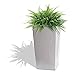 Algreen 11404 Modena Self-Watering Planters, 11 in x 21.7 in, White
