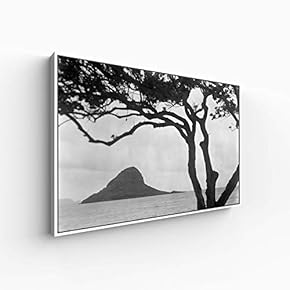 for Living Room Bedroom Monochrome Plants Framed for