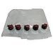 Juggage BIB Bag - (Pack of 5 Bags, 3 L Each) - Wine Making Supplies – Boxed Wine Bags – Long Term Bulk Food Storage - Factory Sterilized - Disposable Beverage Bag
