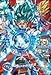 Son Goku(SSGSS) Dragon Ball Heroes HGD10-34 SR Holo