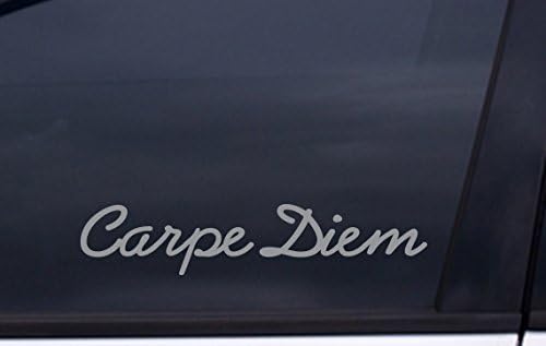 CARPE DIEM Decal 2"x8" METALLIC SILVER Free Shipping motivational inspirational sticker