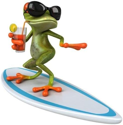 Sticker Surfer Frog Cool Frog Sticker Hang Loose approx. 15 x 15 CM / Article 010