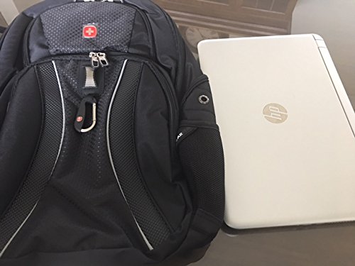 swissgear ace backpack