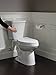 DELTA FAUCET Rubber Limited 79450-SS Linden Wall Mount Pivot Arm Toilet Paper Holder Bath Hardware Accessory in Stainless Steel