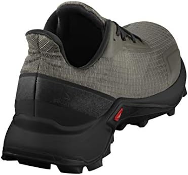 salomon alphacross gtx amazon