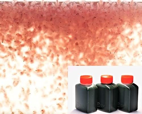 めだか街道 活タマミジンコ２００ｍｌ 培養用 種ミジンコ 濃縮生クロレラ３０ｍｌ３本付き