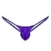 ACSUSS Men's Grape Smugglers Micro Pouch Thongs V-String Bikini Briefs Underwear Purple Medium(Waist 33.0-55.0