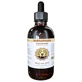 Celandine (Chelidonium Majus) Liquid Extract Tincture 2 oz