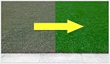 GUARD-EN-FORCE 5KG Iron Sulphate Lawn Fertiliser & Turf Hardener view 2