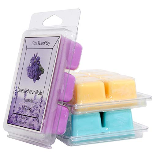 Onlyhome Scented Soy Wax Melts -Set of 6 (3 oz) Assorted Wax Warmer Cubes/Tarts