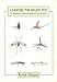 Choose the Right Fly A Streamside Guide for New Zealand Anglers B000WXJSH6 Book Cover