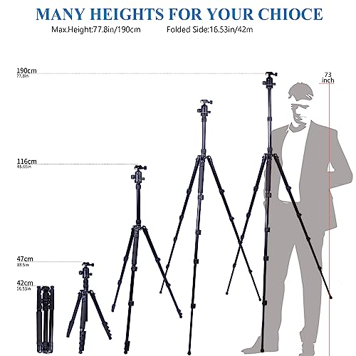 Tripod for Camera, Regetek 75" Camera Tripod Stand, 75 inches DSLR