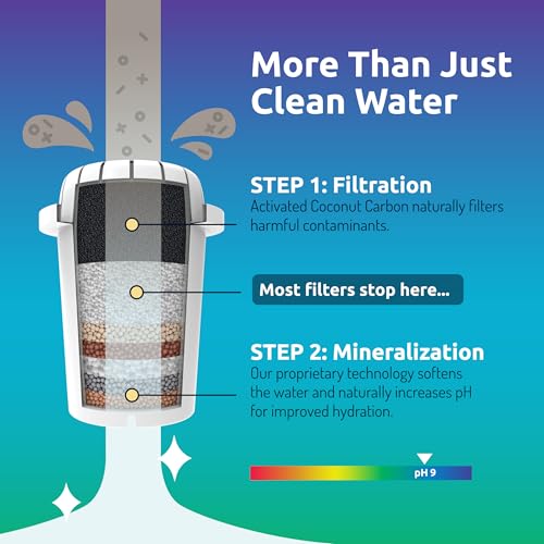 Invigorated Water PH001 - White Alkaline Water Filter – Replacement Filters for all Pitcher & Dispenser Filtration Systems – BPA-Free, Removes Chlorine, Heavy Metals – 96 Gallons/Filter (3-Pack)