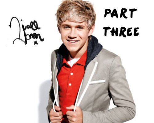 1d in America part 3 (Niall's unofficial diary)