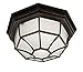 Trans Globe Lighting Trans Globe Imports 40582 RT Traditional One Light Flushmount Lantern from Benkert Collection in Bronze/Dark Finish, 11.00 inches, 5-Inch, Rust primary
