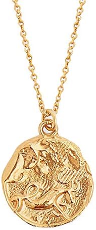 YDMSGSB Pendant Necklace Jewelry Twelve Constellations Female Literary Three-Dimensional Image Matte Gold Jewelry Gift