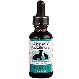 Animals' Apawthecary - Tinkle Tonic - Herbal Tincture