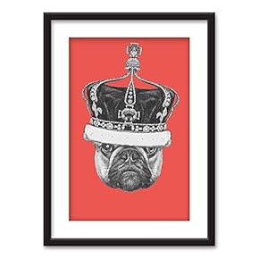 Framed Pug Dog a Crown Black Picture Frames White Matting