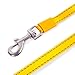 Browning Retractable Dog Leash | Shadow Grass Blades | Medium