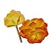 Greatflower Pack of 4 Single Artificial Succulent in different colors 4