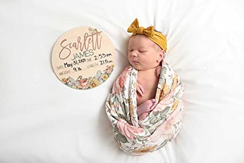 Birth Stat Sign Personalized for Newborn Baby, Scarlett James Design, Crib & Nursery Decor, Photography Prop, Baby Shower Gifts, Gender Reveal, Pregnancy Announcement, Hickory Hollow Designs