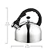 Homeinart Whistling Tea Kettle Stainless Tea Kettles Stovetop 2.6 QT