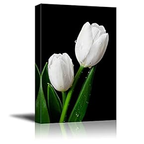 Canvas Prints Wall Art - White Tulip on Black Background | Modern Wall Decor/Home Decoration Stretched Gallery Canvas Wrap Giclee Print. Ready to Hang - 12" x 18"