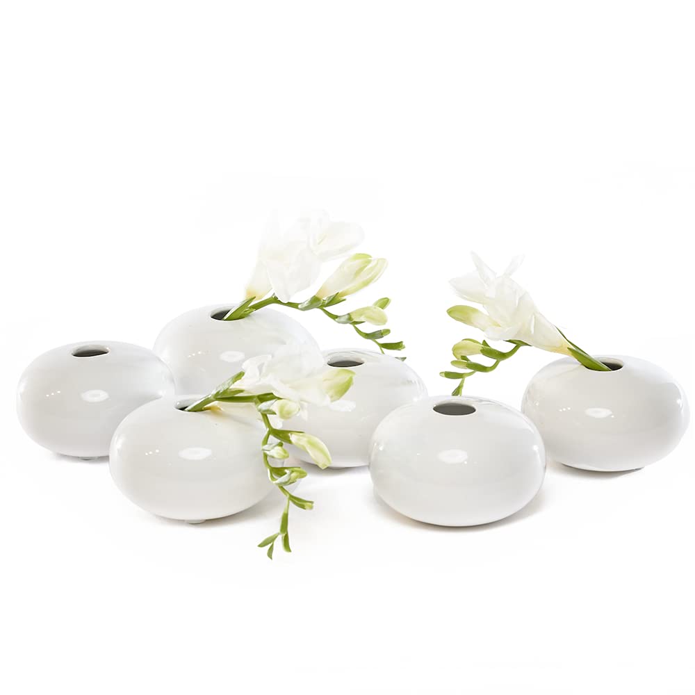 Chive โJojoโ Small Oval Flower Vase โ Cute, Beautiful Ceramic Vase for Flowers & House Plants โ Set of 6 โ White Oval