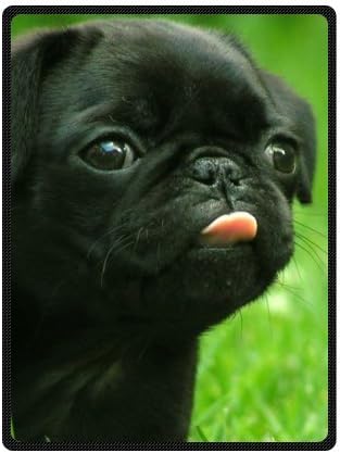 Good Quantity Pug Dog Blanket 58" x 80" Fleece Blanket (Small)