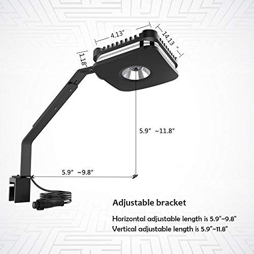 3 Lomini+Aquarium+Saltwater+Freshwater+Planted