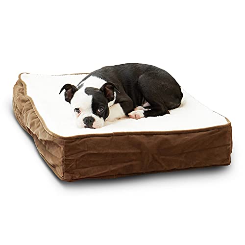 Happy Hounds Oscar Rectangle Orthopedic Foam Sherpa Dog Bed, Extra Small (24 x…