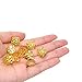 Honbay 20PCS Gold Rhinestone Hair Rings Dreadlocks Beads Braid Hair Cuffs Braiding Hair Jewelry (Triangle Hollow Out)