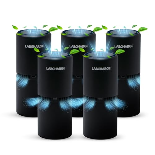LabCharge Small Ionic Air Purifier for Home & Bedroom – Silent HEPA Filter – Covers 250 Sq Ft – For Pet Hair, Smoke, Dust, Odors & Dander – Compact Black Design – Pack of 5