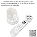 Mesotherapy Electroporation RF Radio Frequency Facial LED Photon Skin Care Device Face Lifting Tighten Eye Facial Care