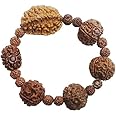 EDMIRIA Nepali Rudraksha Bracelet 2 3 4 5 6 7 Mukhi Rudraksha Wrist Band Bracelet Suitable for Yoga, Meditation Natural Healing Round Bead Stretchable Elastic Bracelets