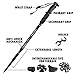 TheFitLife Trekking Poles for Hiking - 2 Sticks with Anti-Shock and Quick Lock System, Telescopic, Collapsible, Ultralight for Hiking, Camping, Mountaining, Backpacking, Walking, Trekking (Black-S)