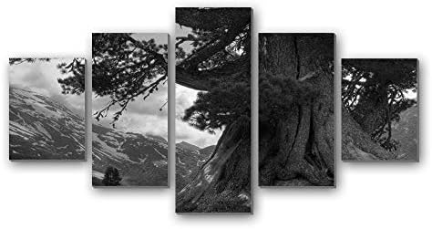 山の壮大な木 自然 白黒 5枚 パネル アートパネル 現代壁の絵 壁掛け部屋飾り背景絵画 キャンバス写真 壁アートしゃしん 木枠付きの完成品 装飾 軽くて取り付けやすい