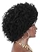 Kalyss Big Bouncy Full Thick Short Afro Kinky Curly Wigs for Women Lightweight Synthetic Hair Wigs 150% Density Natural Looking Fluffy Hair Replacement Wig