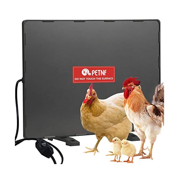 Chicken Coop Heater 140 Watts Radiant Heat Chicken Heater Energy ... - 41sISsLFfnL. SS600 Chicken Coop Heater 140 Watts Radiant Heat Chicken Heater Energy ... - 41sISsLFfnL. SS600