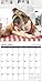 Bulldog Bad Boys 2018 Calendar