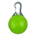 Nite Ize SpotLit Clip-On LED Light with Carabiner, Weather Resistant, Round Package, Lime