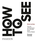 How to See: Visual Adventures in a World God Never Made by 