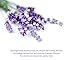 My Spa Life Spa Cleansing Facial Towelettes Infused with Lavender Rosemary Leaf and Japanese Artemisia Princeps - 60 Each (Pack of 3)