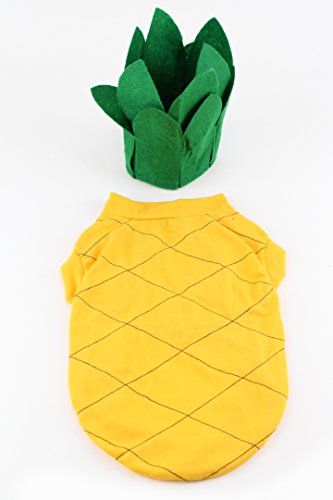MidleeMidlee Pineapple Dog Halloween Costume (X-Large)
