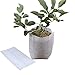 NEEDL CO 500pcs Seedling Plant Grow Bags, Biodegradable Non-Woven Nursery Bags Fabric Seeding Starting Fiber Soil Transplant Pouches Fabric Seedling Pots,Home Garden Supply 3.13.9inchthumb 3