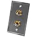 Seismic Audio Speakers Stainless Steel Wall Plate with Dual 1/4-Inch TRS Stereo Jacks