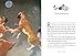 Album of Dogs