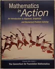 mathematics in action liberal arts math 1 1e amazoncom books