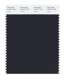 Pantone 19-4011 TCX Smart Color Swatch Card, Salute